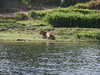 PICT2970.JPG