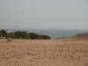 PICT3032.JPG