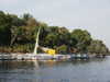 PICT3052.JPG