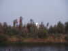 PICT3077.JPG