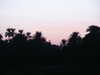 PICT3079.JPG