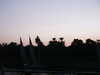 PICT3080.JPG
