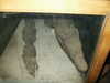 PICT3108.JPG