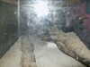 PICT3109.JPG