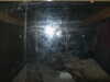 PICT3110.JPG