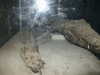 PICT3112.JPG
