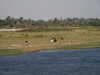 PICT3140.JPG
