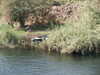 PICT3142.JPG