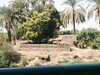 PICT3143.JPG