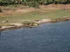 PICT3146.JPG
