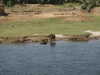 PICT3148.JPG