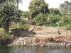 PICT3151.JPG