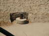 PICT3160.JPG