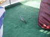 PICT3162.JPG