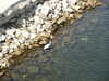 PICT3164.JPG