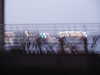 PICT3189.JPG