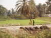 PICT3299.JPG