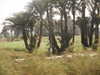 PICT3300.JPG