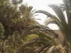 PICT3304.JPG