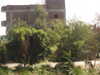 PICT3305.JPG