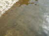 PICT3311.JPG