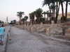 PICT3339.JPG