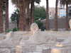 PICT3341.JPG