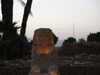 PICT3342.JPG