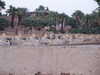 PICT3347.JPG