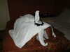 PICT3390.JPG