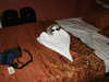 PICT3394.JPG