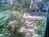 Image016.jpg
