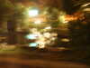 PICT3491.JPG