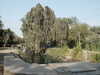 PICT3586.JPG