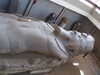 PICT3591.JPG