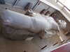 PICT3592.JPG