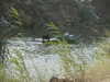 PICT3609.JPG