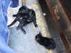 PICT3613.JPG