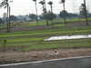PICT3627.JPG