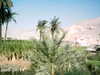 IMAG0003.JPG