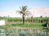 IMAG0004.JPG