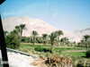 IMAG0005.JPG