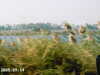 IMAG0006.JPG
