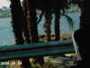 IMAG0007.JPG