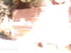 IMAG0010.JPG