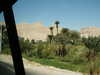 PICT3631.JPG