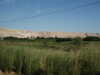 PICT3684.JPG