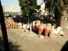 PICT3685.JPG