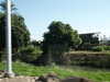 PICT3691.JPG