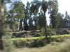 PICT3693.JPG